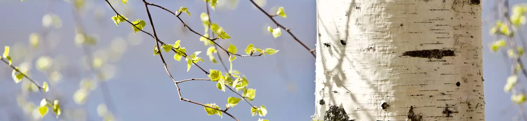 Inköpsställe för ortopediska stöd- och hjälpmedel 248
