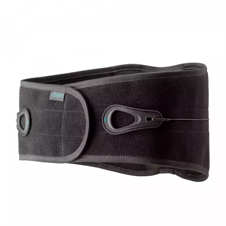 Aspen Lumbar support - Stöd för länd- och korsryggen - 48003001P - 1